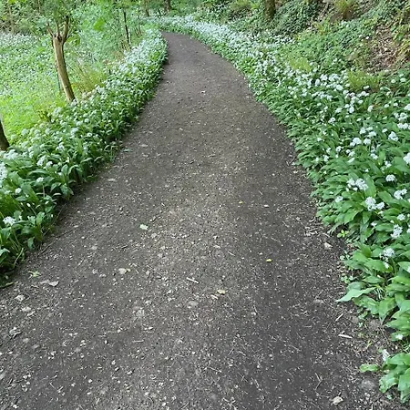 Δωμάτια σε οικογενειακή κατοικία Sechoir_28 *